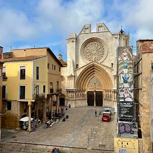 https://tico-enfrente-de-la-catedral.catalonia-hotels.com